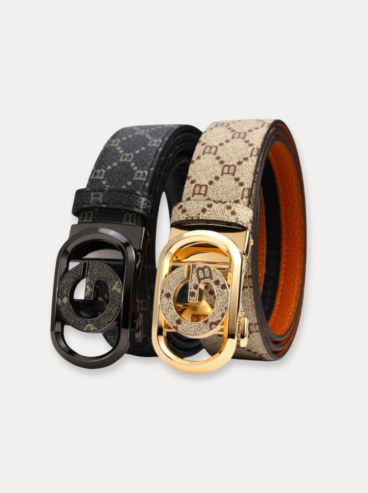 Heritage Lock — Riem