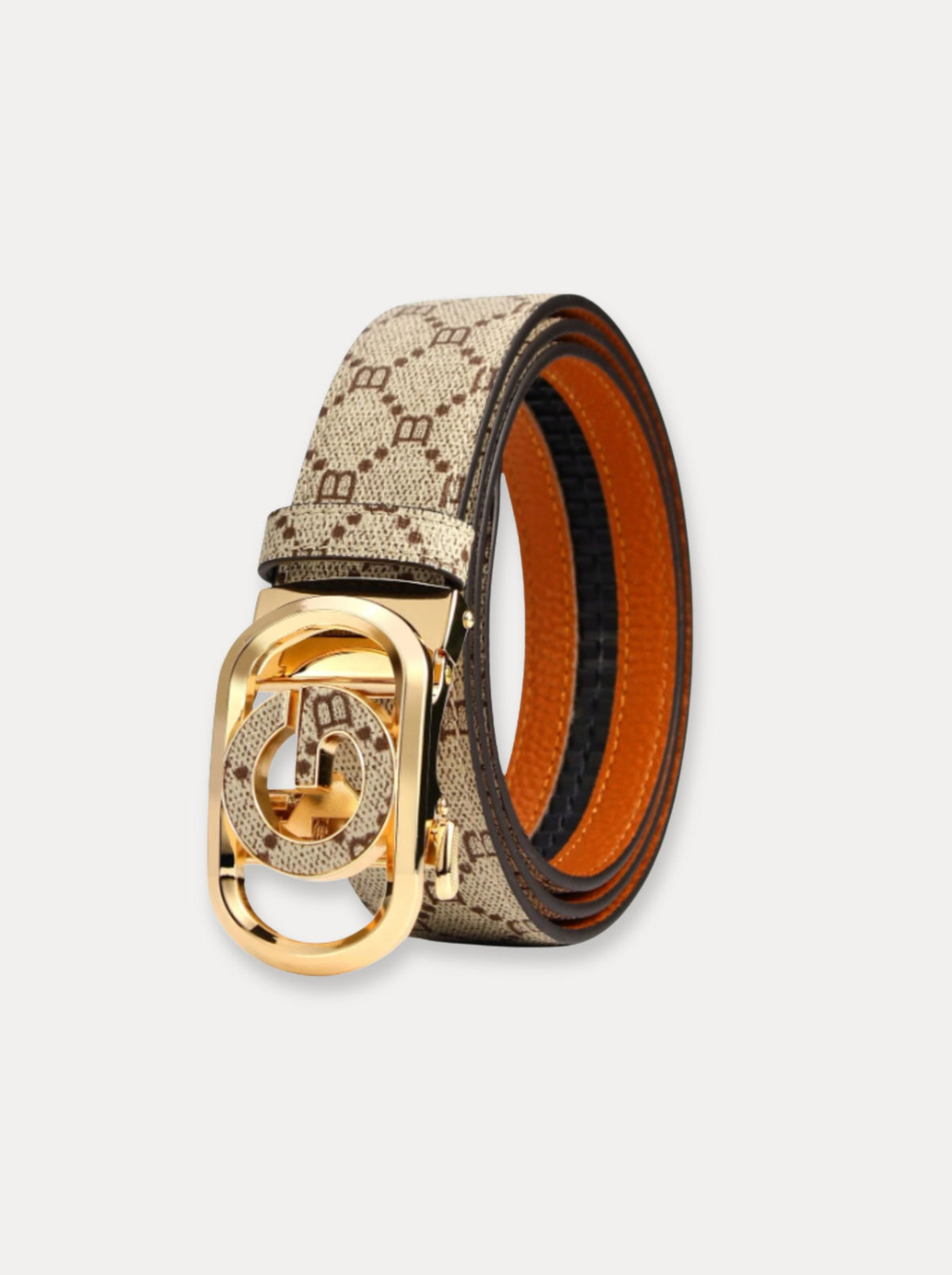Heritage Lock — Riem
