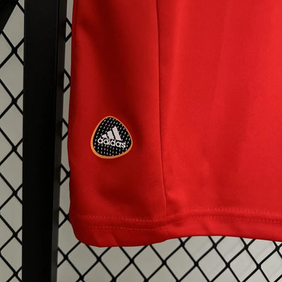 SPANJE 2010 WK RETRO