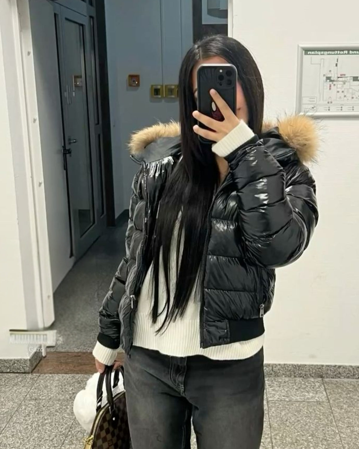 Arctic — Jas