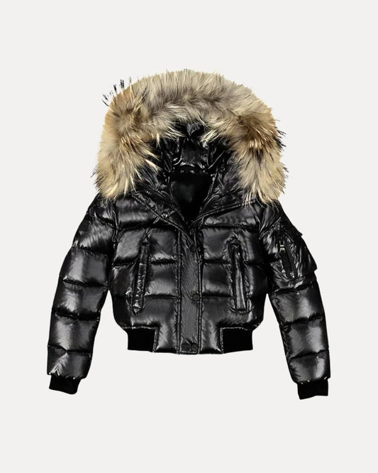 Arctic — Jas