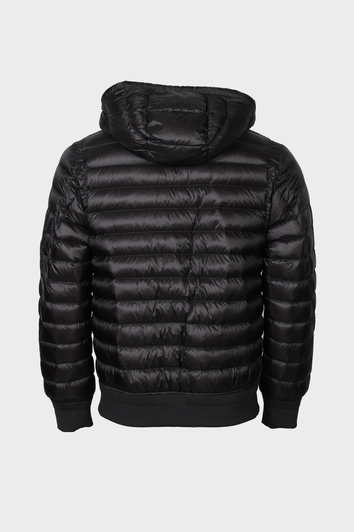CP Company D.D. Shell — Jas