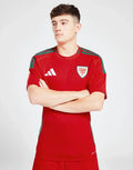Thuistrui Wales 2024