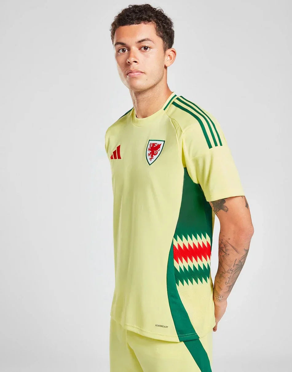 UITSHIRT WALES 2024