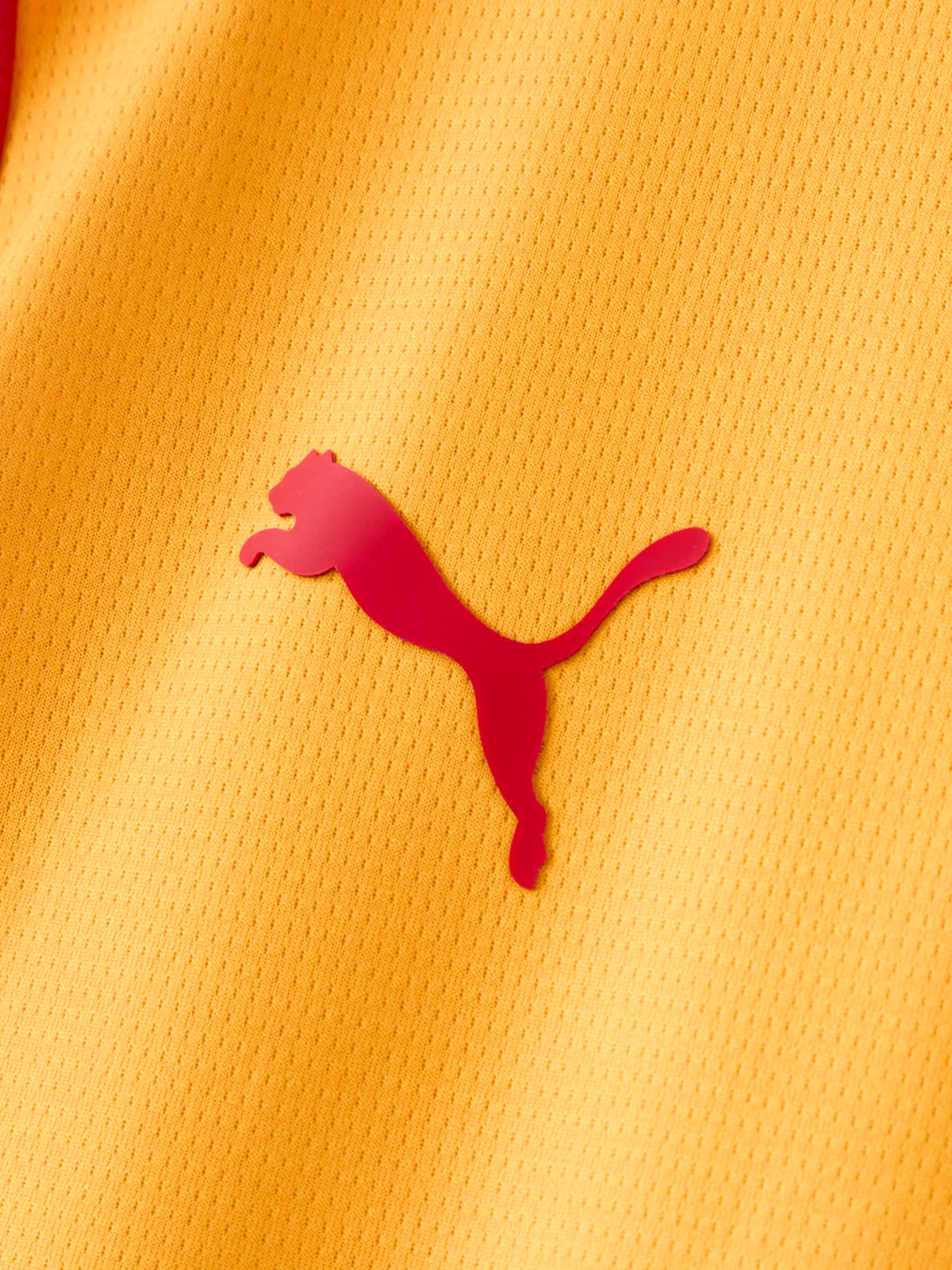 GALATASARAY SK 2026/27 — SHIRT