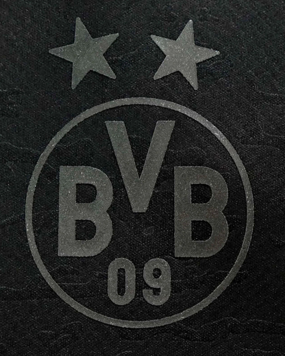 BORUSSIA DORTMUND 2023/24 — SPECIAL EDITION
